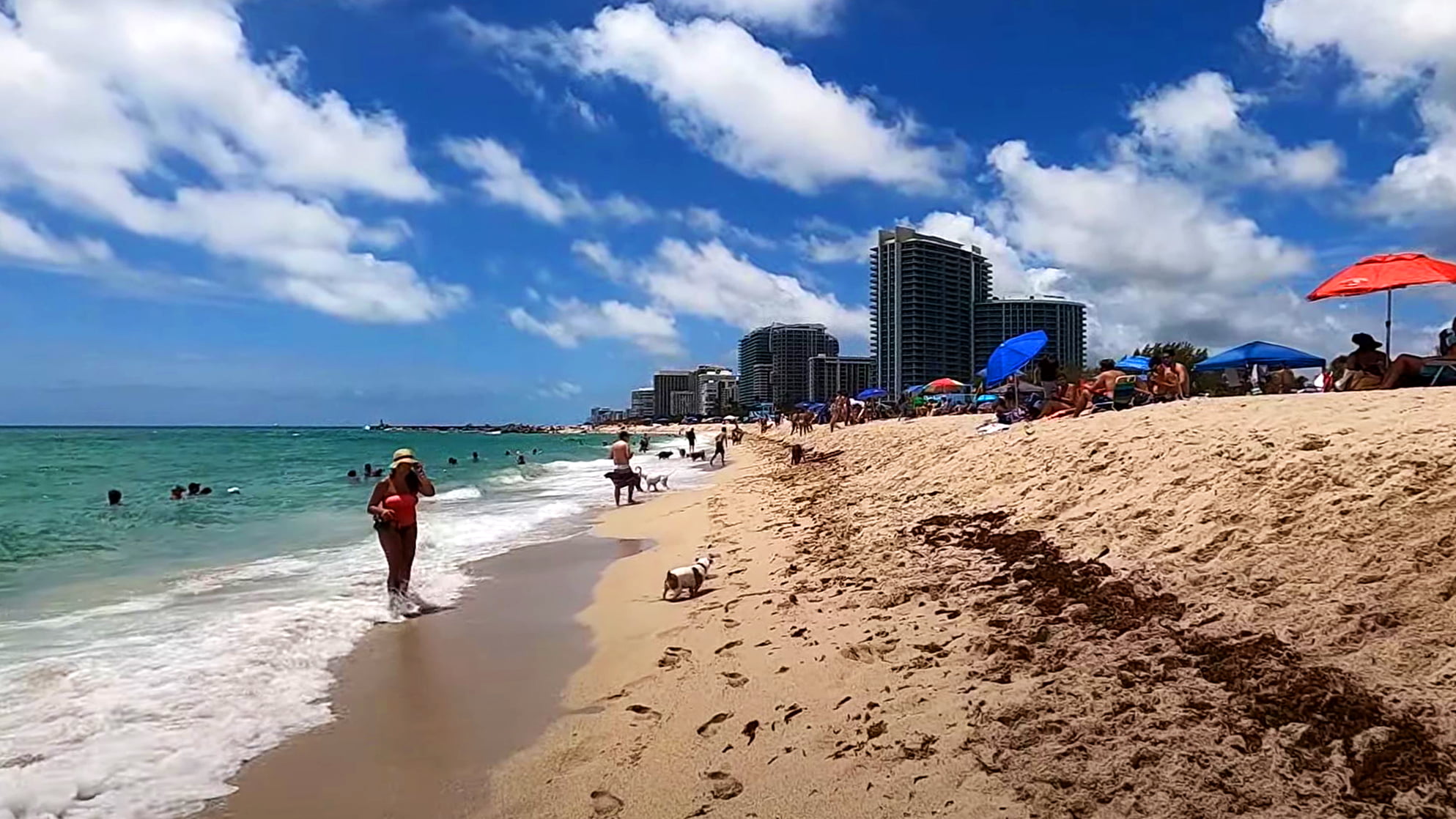 Haulover Beach Miami ~ Video, Photos, & Reviews